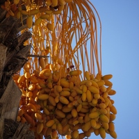 Photo de Turquie - Lunaire Uçhisar en Cappadoce